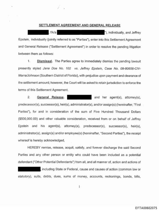 Preview of EFTA00602075