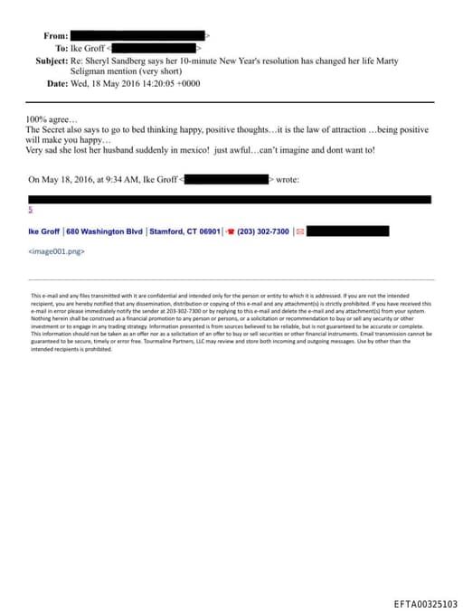 Preview of EFTA00325103