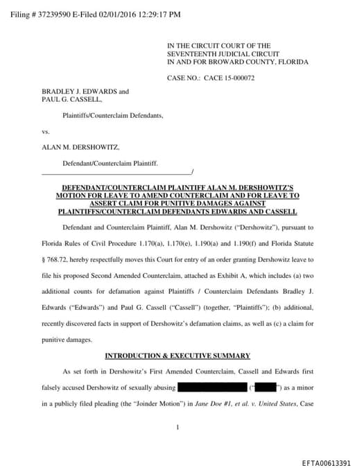 Preview of EFTA00613391