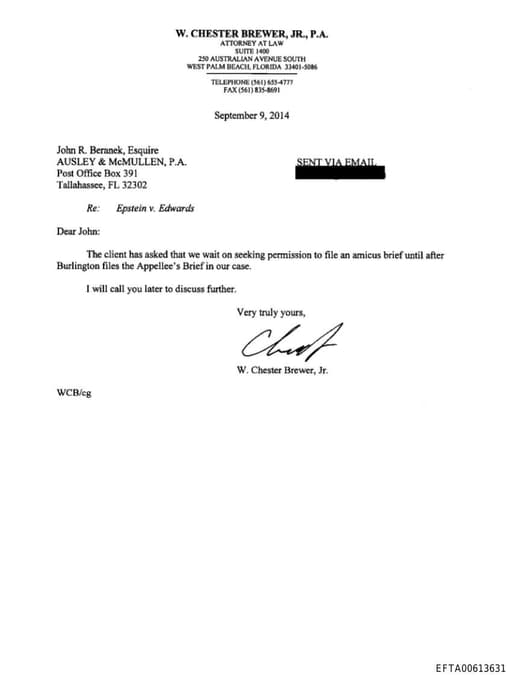 Preview of EFTA00613631