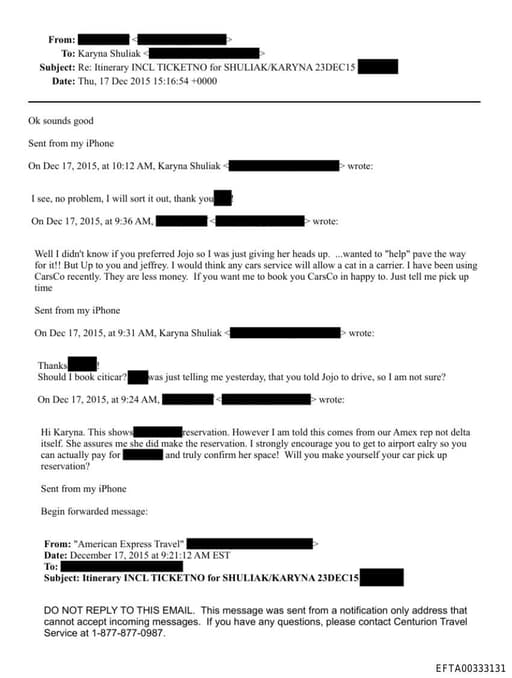 Preview of EFTA00333131