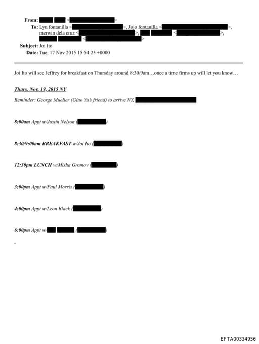 Preview of EFTA00334956