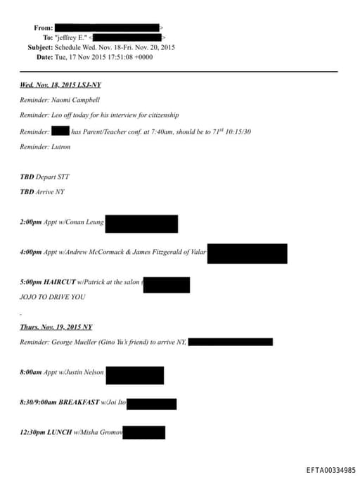 Preview of EFTA00334985