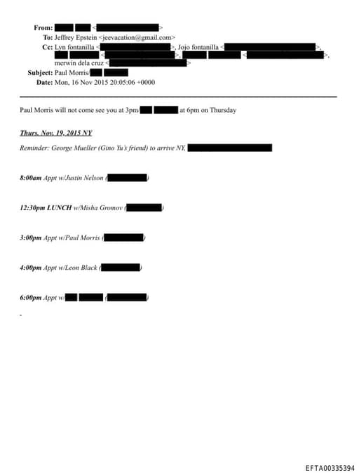 Preview of EFTA00335394