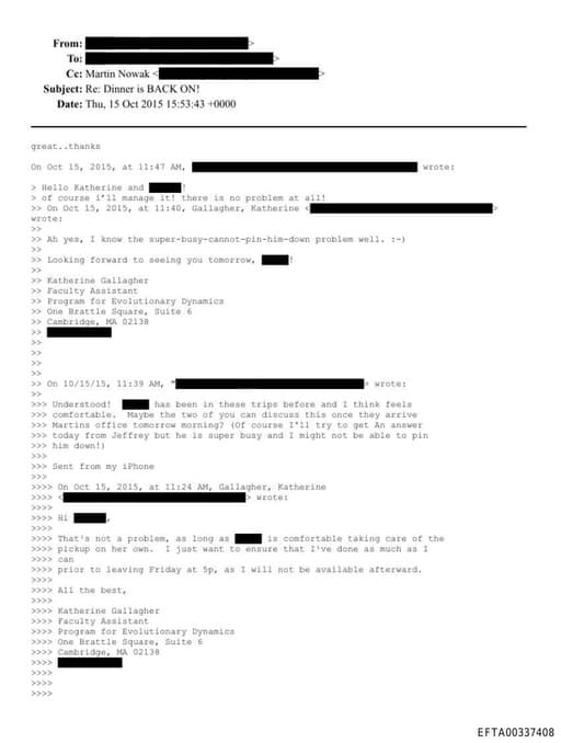 Preview of EFTA00337408