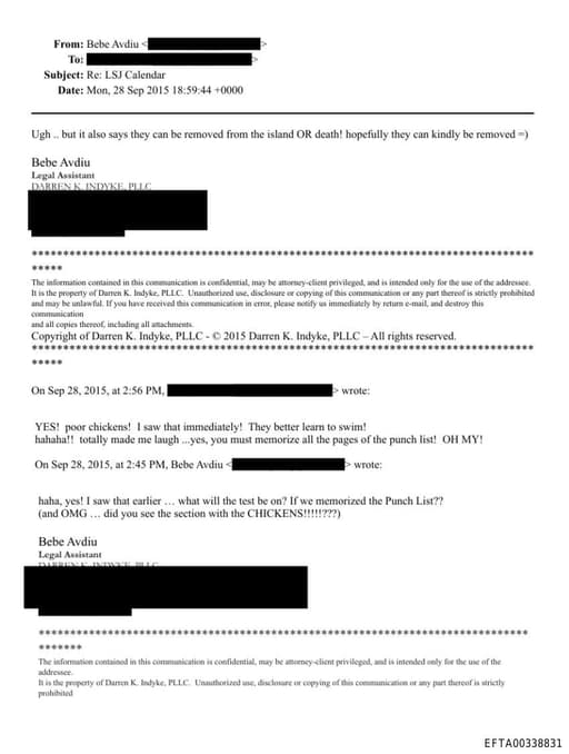 Preview of EFTA00338831