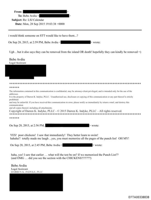 Preview of EFTA00338838