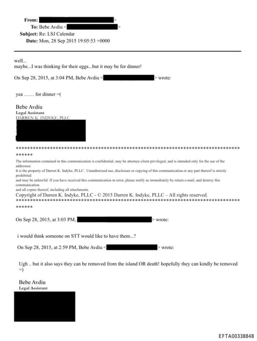 Preview of EFTA00338848