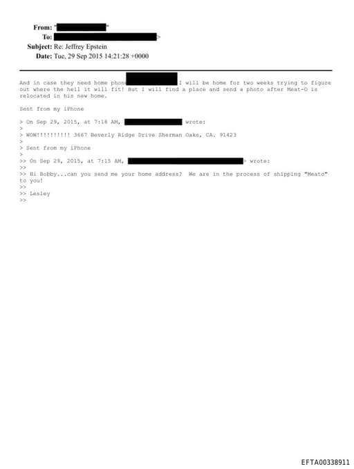 Preview of EFTA00338911