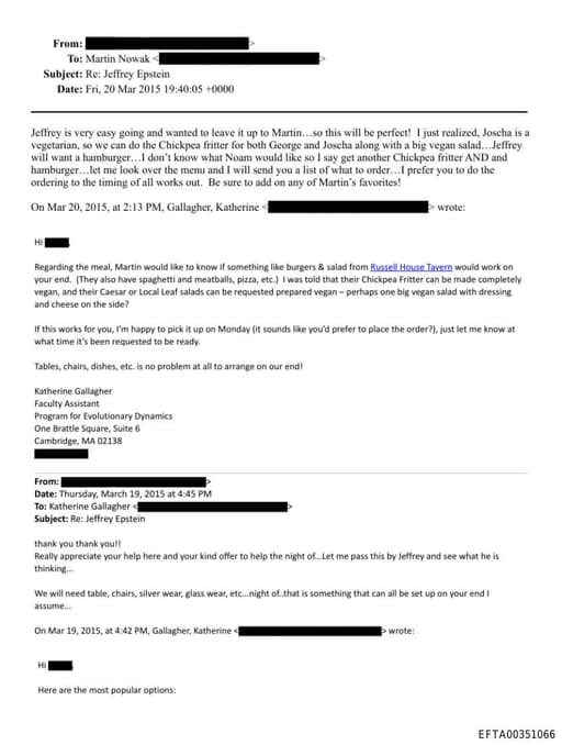 Preview of EFTA00351066