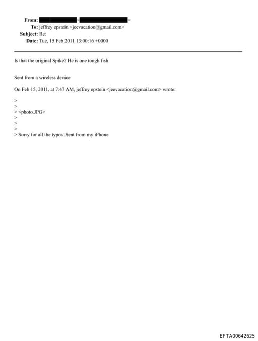 Preview of EFTA00642625