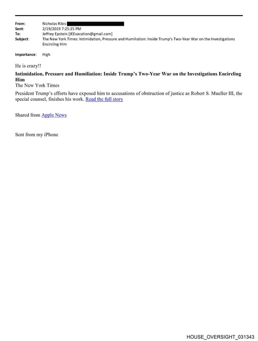 Preview of HOUSE_OVERSIGHT_031343