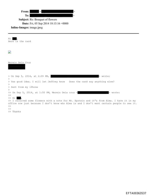 Preview of EFTA00363537