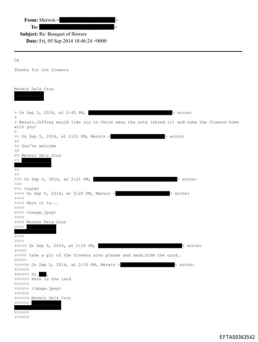 Preview of EFTA00363542