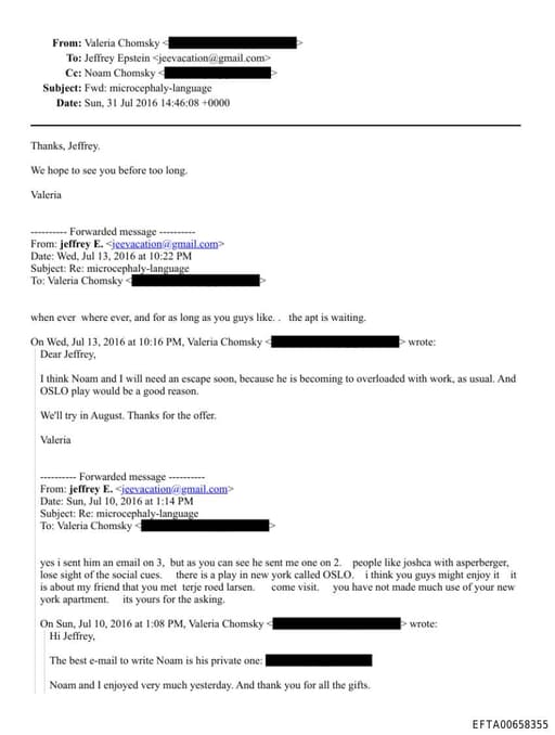 Preview of EFTA00658355