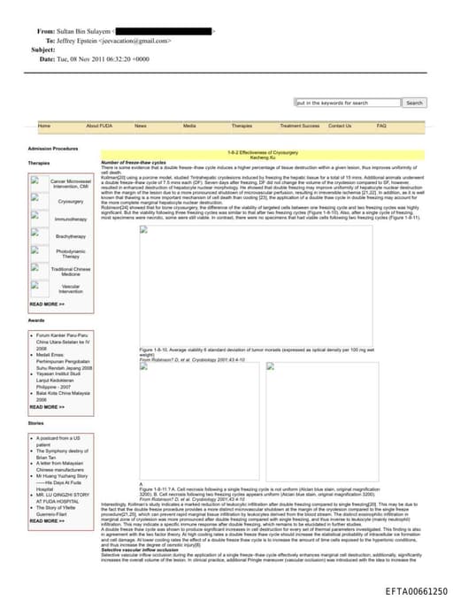 Preview of EFTA00661250