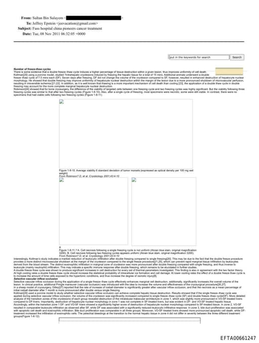 Preview of EFTA00661247