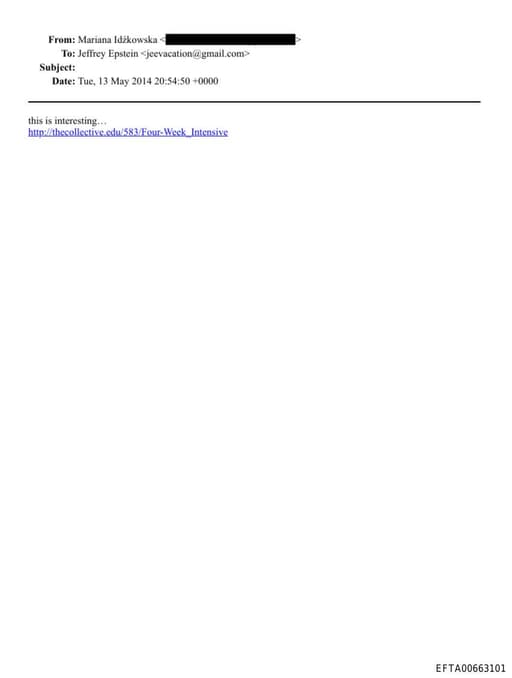 Preview of EFTA00663101