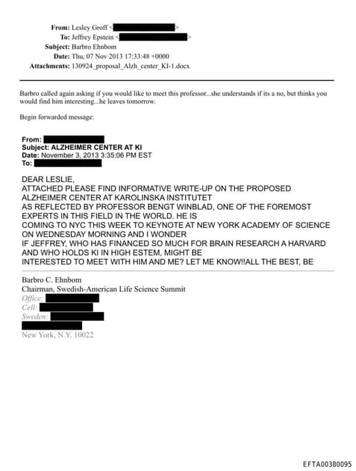 Preview of EFTA00380095