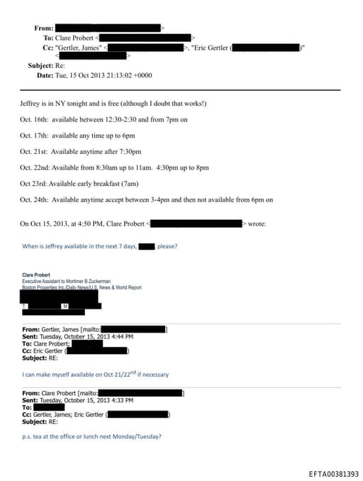 Preview of EFTA00381393