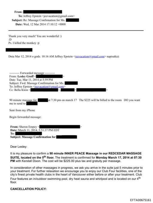 Preview of EFTA00675161