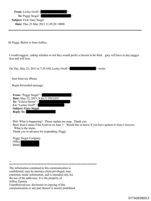 Preview of EFTA00390013