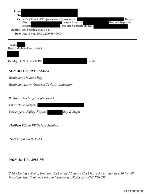 Preview of EFTA00390608