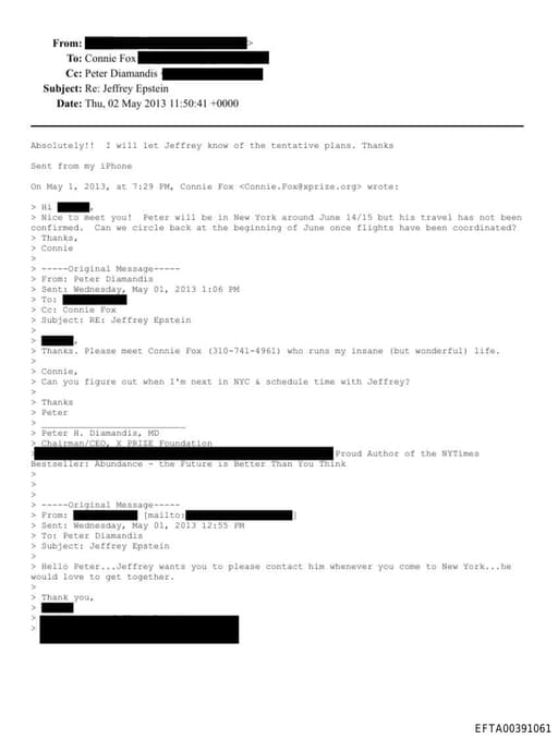 Preview of EFTA00391061