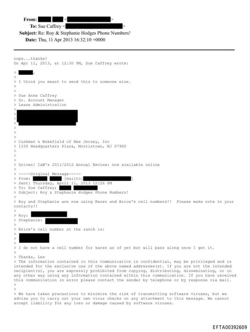 Preview of EFTA00392609