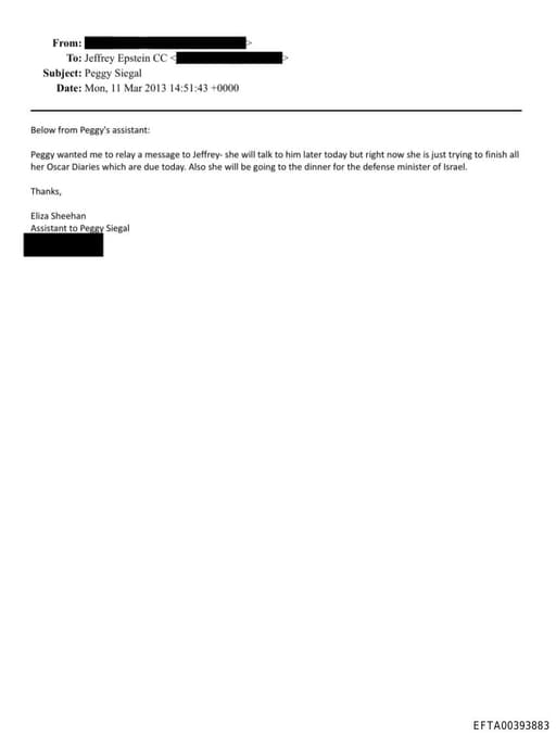 Preview of EFTA00393883