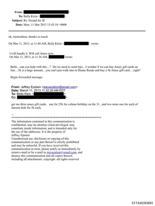 Preview of EFTA00393891