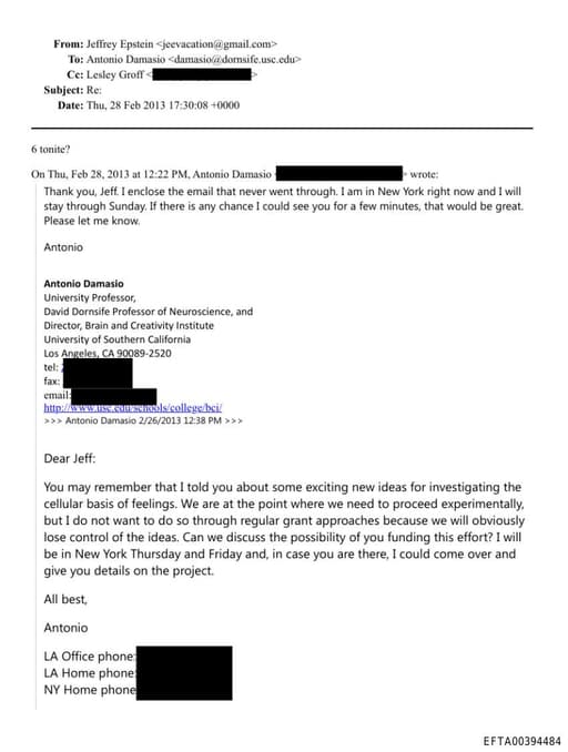 Preview of EFTA00394484