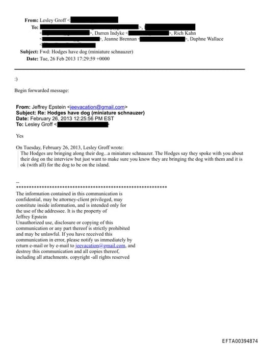 Preview of EFTA00394874