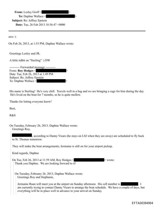 Preview of EFTA00394904