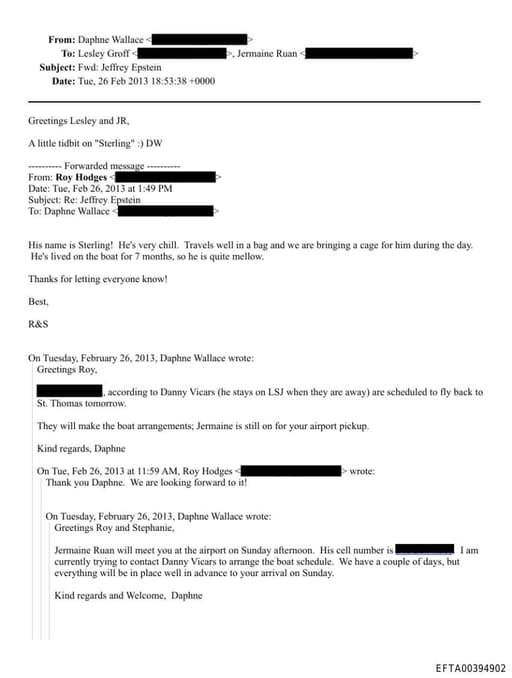 Preview of EFTA00394902