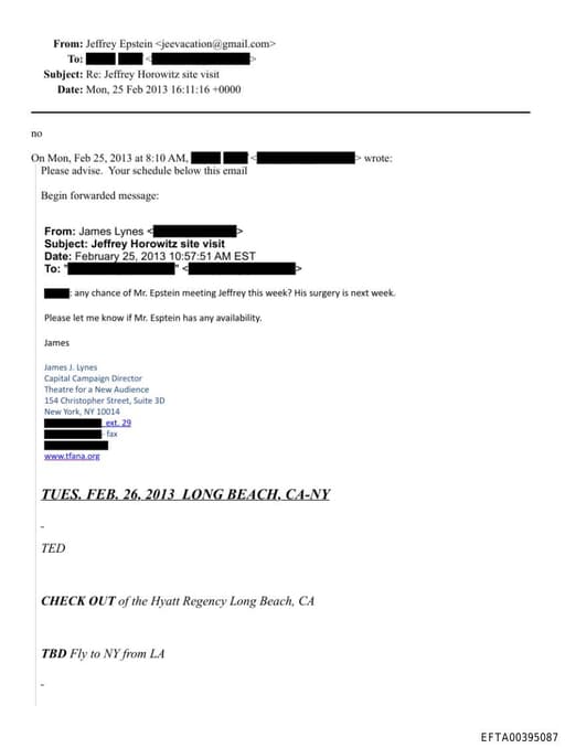 Preview of EFTA00395087