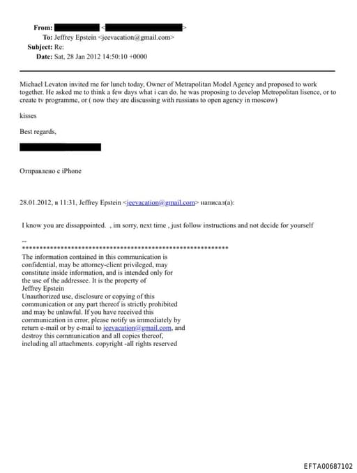 Preview of EFTA00687102