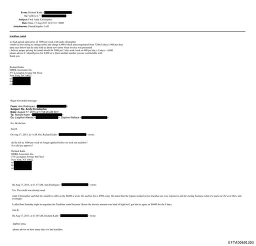 Preview of EFTA00691303