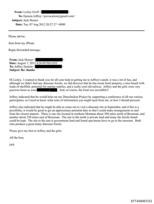 Preview of EFTA00407151