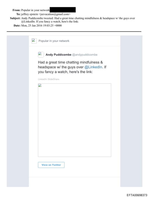 Preview of EFTA00698373