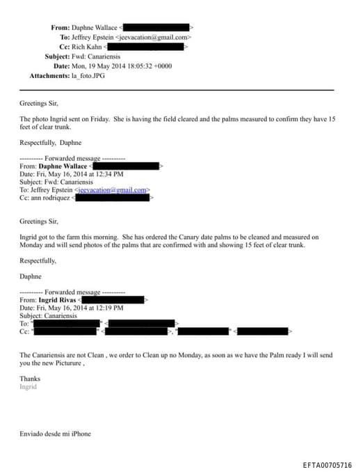 Preview of EFTA00705716