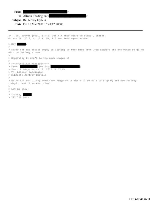 Preview of EFTA00417631