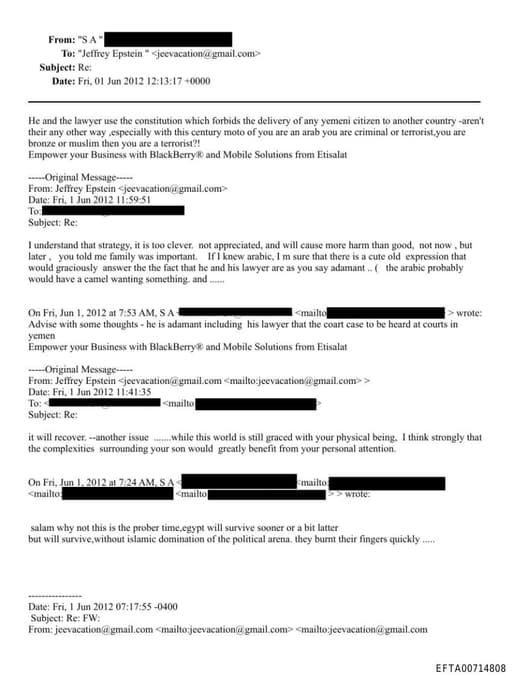 Preview of EFTA00714808