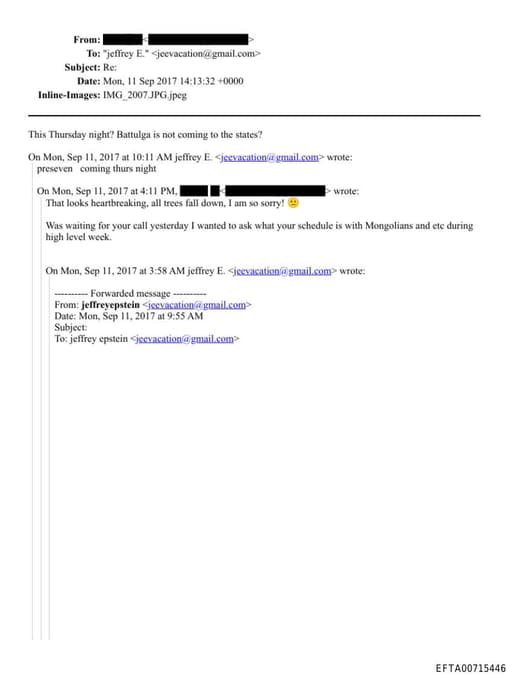 Preview of EFTA00715446