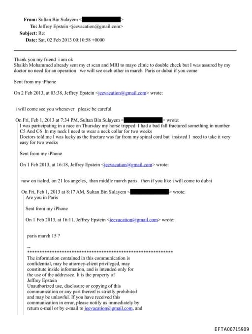 Preview of EFTA00715909