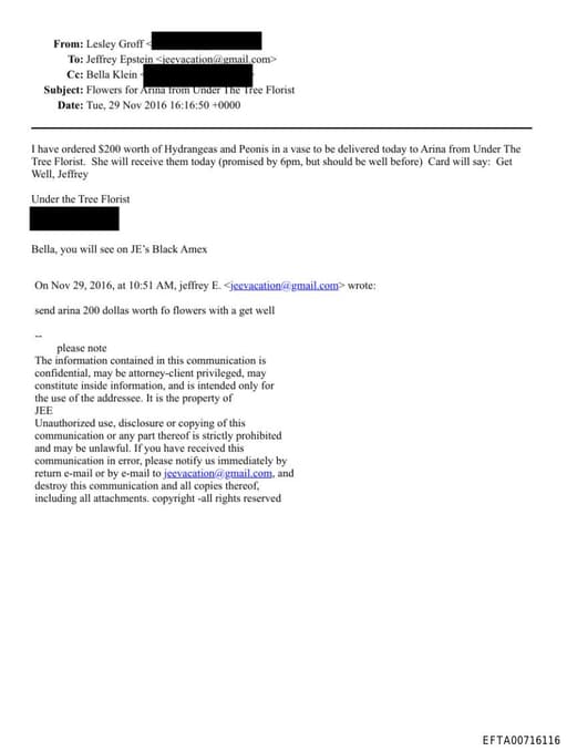 Preview of EFTA00716116