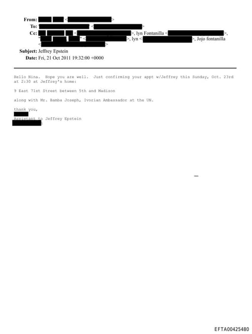 Preview of EFTA00425480