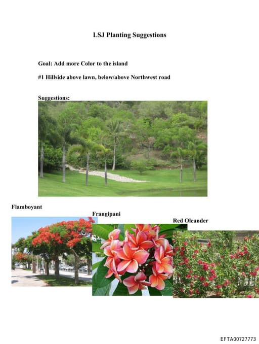 Preview of EFTA00727773