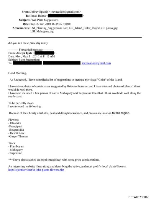 Preview of EFTA00736065