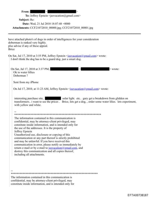 Preview of EFTA00738187